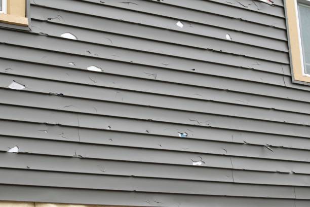Best Same-Day Junk Removal Services  in River Ridge, LA